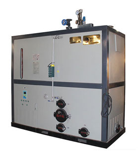 700公斤生物質蒸汽發生器