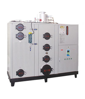 300KG生物質蒸汽發生器